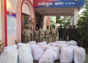 ବାଲିଗୁଡା ଥାନା ଅଞ୍ଚଳ ରେ ପୋଲିସ ପାଟ୍ରୋଲିଂ କରୁଥିବା ସମୟରେ : ବିପୁଳ ପରିମାଣରେ ଗଞ୍ଜେଇ ଜବତ