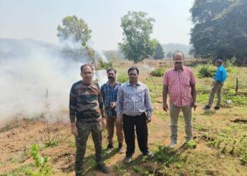 ପୋଲିସ ଓ ଅବକାରୀ ବିଭାଗର ମିଳିତ ଉଦ୍ୟମ ରେ ୫୦ ଏକର ଗଞ୍ଜେଇ ଚାଷ ନଷ୍ଟ