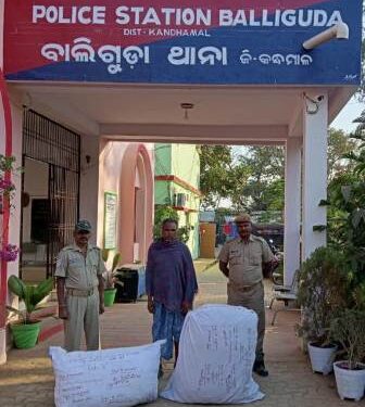 ଗଞ୍ଜେଇ ଚୋରା ଚାଲାଣ ପାଇଁ ସଜବାଜ ବେଳେ ମାଡ଼ି ବସିଲା ପୋଲିସ : ଜଣେ ଗିରଫ