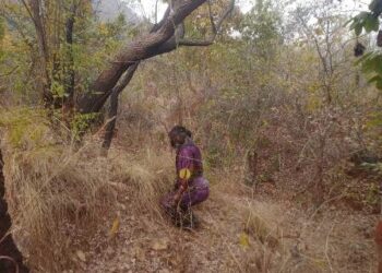 ଗଛ ରୁ ଝୁଲନ୍ତା ବିବାହାତା ମହିଳା ଙ୍କ ମୃତ ଦେହ ଉଦ୍ଧାର : ହତ୍ୟା ଅଭିଯୋଗ ଆଣିଲେ ପରିବାରବର୍ଗ 