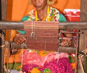 ଜାତୀୟ ଜନଜାତି କଳାବସ୍ତୁ ମେଳାର ପଞ୍ଚମ ସନ୍ଧ୍ୟା