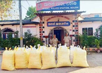 ବୌଦ୍ଧ ଜିଲ୍ଲା ଗଞ୍ଜେଇ ମାଫିଆଙ୍କ ପାଇଁ ଭୂସ୍ୱର୍ଗ ପାଲଟିଛି : ୨ ମାସରେ ୧୦୦ କ୍ୟୁଣ୍ଟାଲ ଗଞ୍ଜେଇ ଜବତ