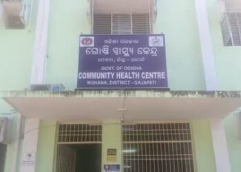 ମହୁମାଛି ଆକ୍ରମଣରେ ମହିଳା ଗୁରୁତ୍ବର