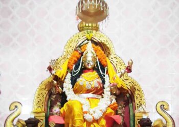 ସିଦ୍ଧିଦାତ୍ରୀ ବେଶରେ ଦର୍ଶନ ଦେଲେ ମା ଜାଗୁଳାଇ