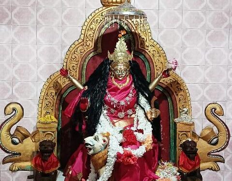 କ୍ୟତ୍ୟାୟନି ବେଶରେ ଦର୍ଶନ ଦେଲେ ମା ଜାଗୁଳାଇ