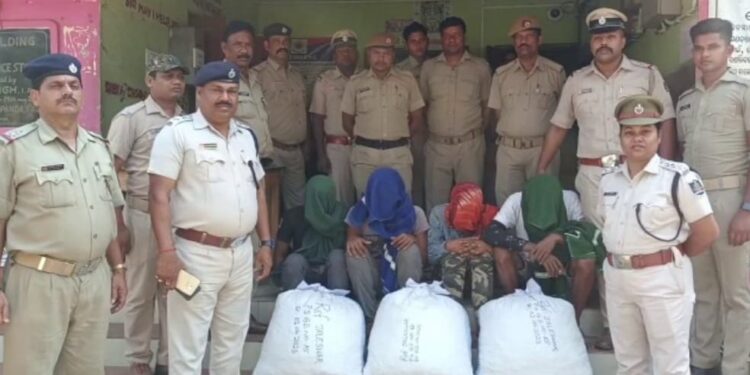 ଲକ୍ଷାଧିକ ଟଙ୍କାର ଗଞ୍ଜେଇ ଜବତ କଲା ପୋଲିସ୍‌ : ଟ୍ରକ୍‌ରେ ପଶ୍ଚିମବଙ୍ଗକୁ ହେଉଥିଲା ଚୋରା ଚାଲାଣ