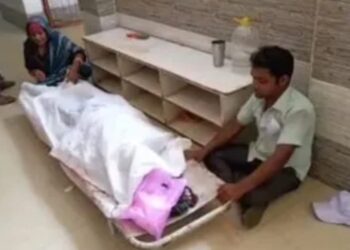 ଆମ୍ବ ବିଛାଇବାକୁ ଯାଇ ଗଛରୁ ପଡ଼ି ବୃଦ୍ଧଙ୍କ ମୃତ୍ୟୁ