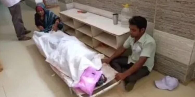 ଆମ୍ବ ବିଛାଇବାକୁ ଯାଇ ଗଛରୁ ପଡ଼ି ବୃଦ୍ଧଙ୍କ ମୃତ୍ୟୁ