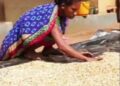 ବିକାଶ ଅପେକ୍ଷାରେ ମାନ୍ଦ୍ରାବାଜୁ ଗାଁ ?