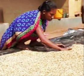 ବିକାଶ ଅପେକ୍ଷାରେ ମାନ୍ଦ୍ରାବାଜୁ ଗାଁ ?