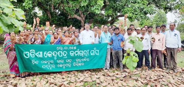 କେନ୍ଦୁପତ୍ର ଶ୍ରମିକଙ୍କ ପ୍ରତି ଅବିଚାର : କେନ୍ଦୁପତ୍ର କର୍ମଚାରୀ ସଂଘର ରାଜ୍ୟ ସରକାର ବିରୋଧରେ ଆନ୍ଦୋଳନ ଡାକରା