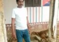 ମେଣ୍ଢା ଚୋରି ଅଭିଯୋଗରେ ଦୁଇ ଜଣ କୋର୍ଟ ଚଲାଣ