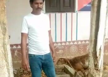 ମେଣ୍ଢା ଚୋରି ଅଭିଯୋଗରେ ଦୁଇ ଜଣ କୋର୍ଟ ଚଲାଣ