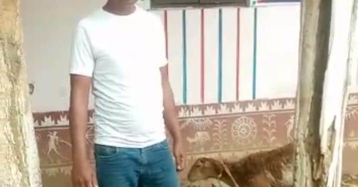 ମେଣ୍ଢା ଚୋରି ଅଭିଯୋଗରେ ଦୁଇ ଜଣ କୋର୍ଟ ଚଲାଣ