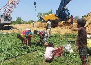 ରାଜ୍ୟ ସରକାରଙ୍କ ଗଙ୍ଗାଧର ମେହେର ଉଠା ଜଳସେଚନ ପ୍ରକଳ୍ପ ଉପରେ : ଅସନ୍ତୋଷ ବରଗଡ ଜିଲ୍ଲାର ଚାଷୀ