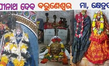 ଆମଣ ଗ୍ରାମରେ ୫୩ ତମ ବିଶ୍ୱଶାନନ୍ତି ମହାଯଞ ଉଦଯାପିତ