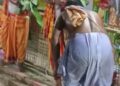ସୁଭଦ୍ରାପୁର ଗ୍ରାମର ନୂତନ ହନୁମାନ ମନ୍ଦିର ପ୍ରତିଷ୍ଠା ବିଗ୍ରହ ସ୍ଥାପନ  ନିମନ୍ତେ କଳସ ଯାତ୍ରା