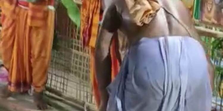ସୁଭଦ୍ରାପୁର ଗ୍ରାମର ନୂତନ ହନୁମାନ ମନ୍ଦିର ପ୍ରତିଷ୍ଠା ବିଗ୍ରହ ସ୍ଥାପନ  ନିମନ୍ତେ କଳସ ଯାତ୍ରା