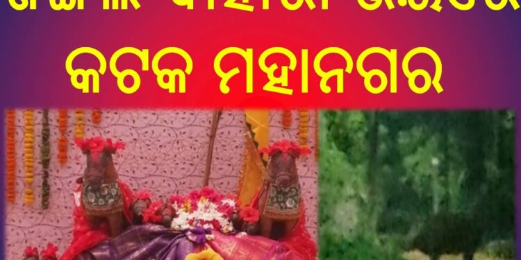 ଜଙ୍ଗଲି ବାହାରା ଭୟରେ ନୂଆଗଡ଼ ଗ୍ରାମବାସୀ ଘରୁ ବାହାରିବାକୁ ଭୟ କରୁଛନ୍ତି