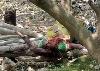 ଗଜପତି ଜିଲ୍ଲାକାଶୀନଗର ବ୍ଲକ ସାରା ଗ୍ରାମରେ ସ୍ତ୍ରୀର ଗଣ୍ଡିରୁ ମୁଣ୍ଡ କୁ ଅଲଗା କରି ହତ୍ୟା କଲା ନୃଶଂସ ସ୍ବାମୀ