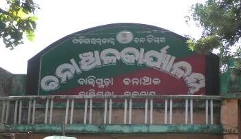 ବାଲିଗୁଡ଼ାରେ ବାଘ ଆତଙ୍କ ଗୁଜବ