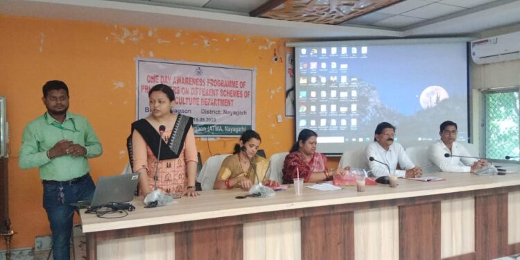 ସଫଳ କୃଷି ଉଦ୍ୟୋଗୀ ହେବା ପାଇଁ ମୁଖ୍ୟମନ୍ତ୍ରୀ କୃଷି ଉଦ୍ୟୋଗ ଯୋଜନା ବେଶ୍ ସହାୟକ