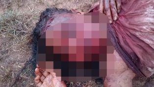 ବୃଦ୍ଧ ଙ୍କ ଠେଙ୍ଗା ମାଡ଼ରେ ସ୍ତ୍ରୀ ମୃତ