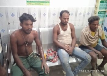 ମେକ୍ସ ପିକ୍ଅପ୍ ଦୁର୍ଘଟଣାରେ ୧୧ ଆହତ ସହ ୪ ଗୁରୁତ୍ବ