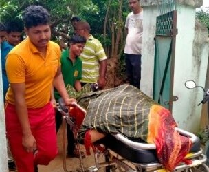 ଫୁଲ ତୋଳୁଥିବା ସମୟରେ ପାଇଖାନା ଟାଙ୍କିକୁ ଖସିପଡି ଜଣେ ମହିଳାଙ୍କର ମୃତ୍ୟୁ
