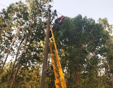 ଟିପିଏସ୍ଓଡିଏଲ୍ ପକ୍ଷରୁ ପ୍ରଚଣ୍ଡ ଗ୍ରୀଷ୍ମ ପ୍ରବାହ ସମୟରେ ବିଦ୍ୟୁତ ଯୋଗାଣ ସୁନିଶ୍ଚିତ କରିବା ଲାଗି ସ୍ୱତନ୍ତ୍ର ପଦକ୍ଷେପ ଗ୍ରହଣ