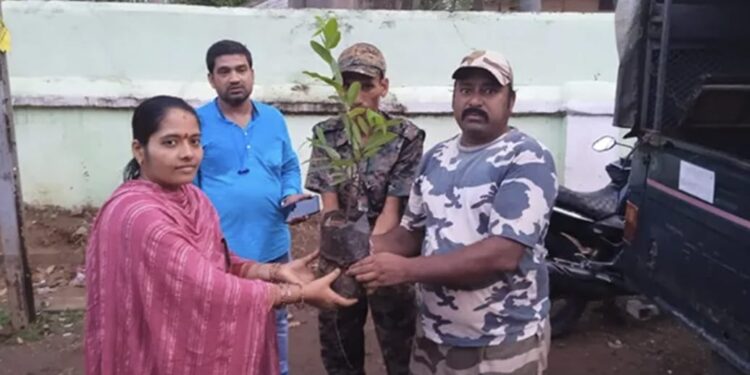 ପାରଳାଖେମୁଣ୍ଡି ସ୍ଥିତଦେବଗିରୀ ବନାଞ୍ଚଳ ପକ୍ଷରୁ ଚାରା ବଣ୍ଟନ