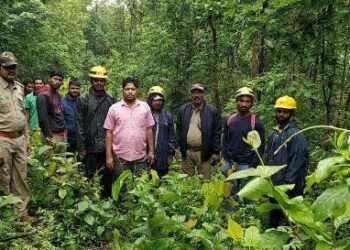 ବଣ ଯନ୍ତୁ ଶିକାର ପାଇଁ ୧୧ କେଭି ଲାଇନ୍ ରୁ ଜଙ୍ଗଲରେ ବଛାଯାଇଥିବା ତାରକୁ ଯବତ କଲା ବିଦ୍ୟୁତ ଓ ବନବିଭାଗ