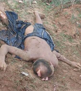 ହାତୀ ସାଜିଛି ନରହନ୍ତା : ସିକୋ