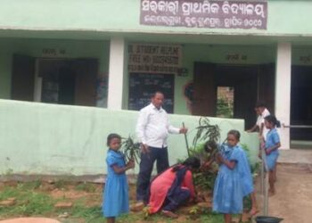 ଜଲତାର୍ ଗୁଡା ସରକାରୀ ପ୍ରାଥମିକ ବିଦ୍ୟାଳୟରେ ବୃକ୍ଷ ରୋପଣ ହୋଇଛି