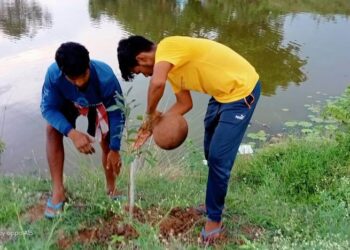 ଇଟାମାଟି ଯୁବ ସମାଜ ସେବୀ ଙ୍କ ଦ୍ୱାରା ବୃକ୍ଷ ରୋପଣ : 74 ତମ ବନ ମହୋତ୍ସବ