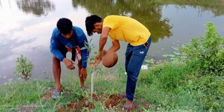 ଇଟାମାଟି ଯୁବ ସମାଜ ସେବୀ ଙ୍କ ଦ୍ୱାରା ବୃକ୍ଷ ରୋପଣ : 74 ତମ ବନ ମହୋତ୍ସବ