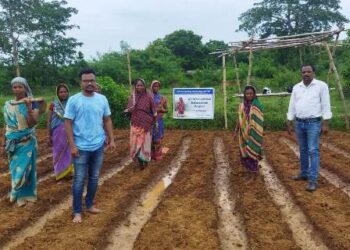 ଟିପିଏସ୍‌ଓଡିଏଲ୍‌ର ନିରନ୍ତର ଜୀବନଜୀବିକା କାଯ୍ୟକ୍ରମ ମାଧ୍ୟମରେ ୧୦୦୦ ମହିଳା ସ୍ୱୟଂ ସହାୟକ ଗୋଷ୍ଠୀ ସଶକ୍ତ