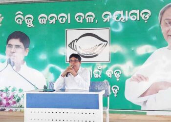 ବିଜୁ ଜନତା ଦଳର ସାଂଗଠନିକ ସଭା : ଗାଁ ଦେଖିବ ବିକାଶ, ବଦଳିବ ରୂପରେଖ – ଅରୁଣ