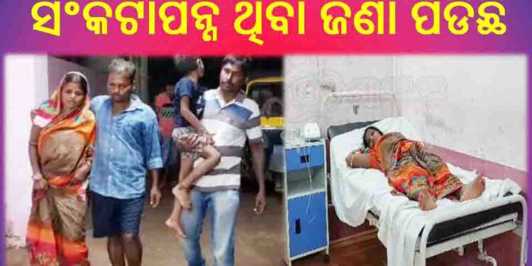 ବିଷାକ୍ତ ଛତୁ ଖାଇ ଗୋଟିଏ ପରିବାରର ଛଅ ଜଣ ଗୁରୁତର