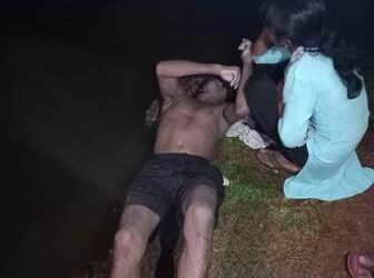 ହାତୀ ବଳଦ ର ଲଢେଇ
