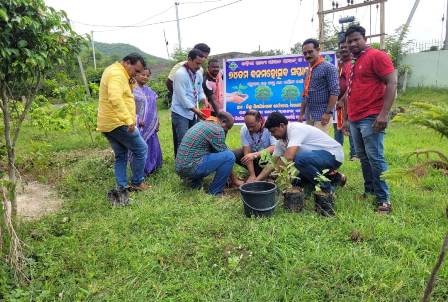 ପାରଳାଖେମୁଣ୍ଡି ସ୍ଥିତ ଜିଲ୍ଲା ଶିକ୍ଷା ଅଧିକାରୀ ଙ୍କ କାର୍ଯ୍ୟାଳୟ ପରିସରରେ ଵୃକ୍ଷ ରୋପଣ କାର୍ଯ୍ୟକ୍ରମ ଅନୁଷ୍ଠିତ