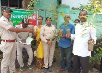 ଗୁମ୍ମା ବନ ବିଭାଗ ତରଫରୁ ଭ୍ରାମ୍ୟମାଣ ଚାରା ବଣ୍ଟନ କାର୍ଯ୍ୟକ୍ରମ ଅନୁଷ୍ଠିତ