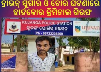 ବ୍ରାଉନ୍ ସୁଗାର ଓ ଚୋରି ଘଟଣାରେ ହାର୍ଡକୋର କ୍ରିମିନାଲ ଗିରଫ