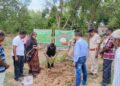 ନୟାଗଡ କ୍ରିୟାନୁଷ୍ଠାନ କମିଟି ତରଫରୁ ବନ ମହୋତ୍ସବ ପାଳିତ