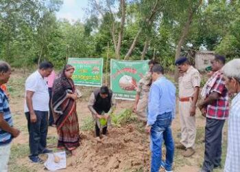 ନୟାଗଡ କ୍ରିୟାନୁଷ୍ଠାନ କମିଟି ତରଫରୁ ବନ ମହୋତ୍ସବ ପାଳିତ