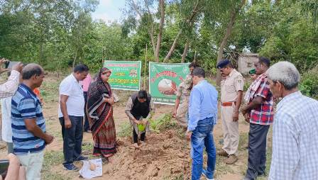 ନୟାଗଡ କ୍ରିୟାନୁଷ୍ଠାନ କମିଟି ତରଫରୁ ବନ ମହୋତ୍ସବ ପାଳିତ