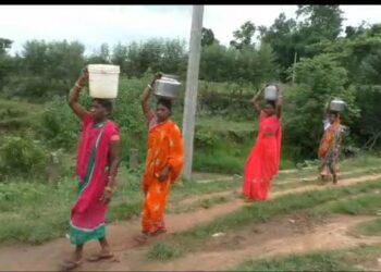 ପାନୀୟ ଜଳ ଏବଂ ପକ୍କାରାସ୍ତା ସୁବିଧାରୁ ବଞ୍ଚିତ ଦଶିପୁର ଗ୍ରାମବାସୀ