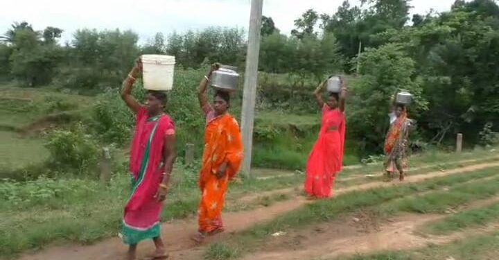 ପାନୀୟ ଜଳ ଏବଂ ପକ୍କାରାସ୍ତା ସୁବିଧାରୁ ବଞ୍ଚିତ ଦଶିପୁର ଗ୍ରାମବାସୀ