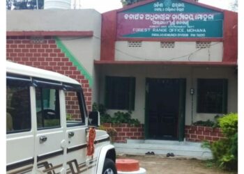 ଚନ୍ଦନ ଗଛ ଚୋରି : ତିନି ଯୁବକଙ୍କୁ ଧରିଲେ ଗ୍ରାମବାସୀ