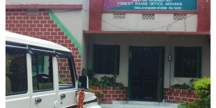 ଚନ୍ଦନ ଗଛ ଚୋରି : ତିନି ଯୁବକଙ୍କୁ ଧରିଲେ ଗ୍ରାମବାସୀ